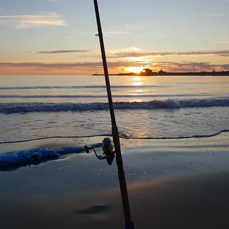 Dua شقة Shëngjin